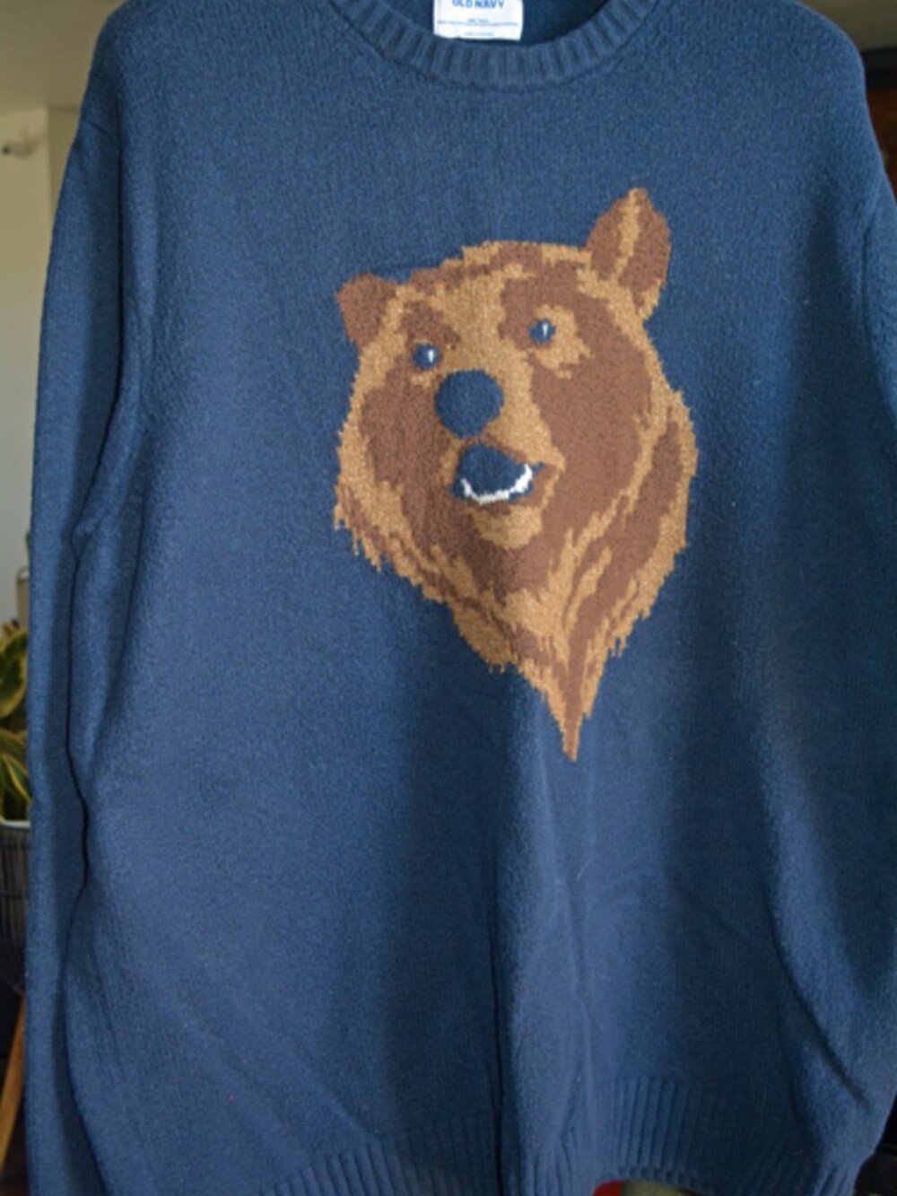 Old Navy Grizzly Bear sweater
